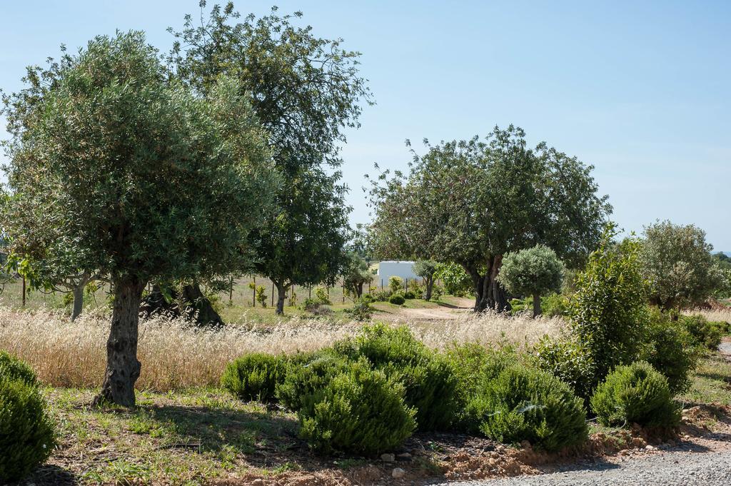 Pensao Agricola ξενώνας Cabanas De Tavira Εξωτερικό φωτογραφία